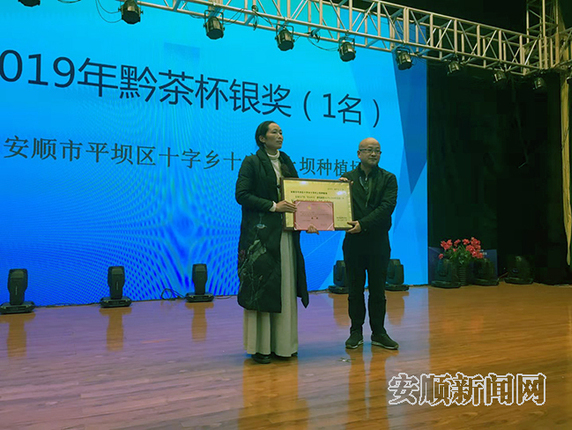平坝茶企斩获“黔茶杯”金奖、银奖1