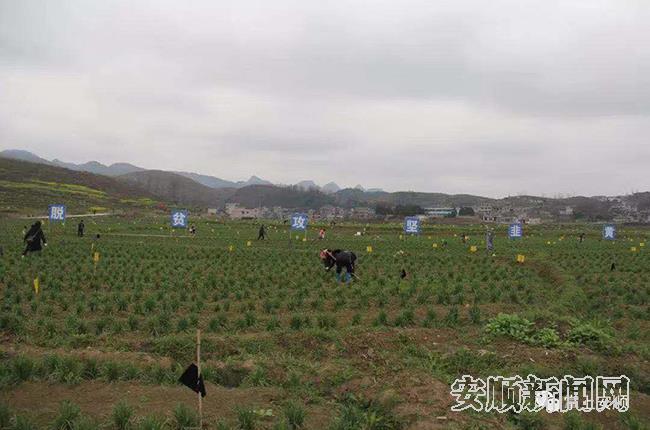 微信图片_20191229225410.jpg