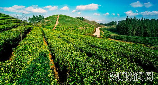c6f10933-27bd-4ded-a8a8-b3aaffa91cc8_IMAGE_2.jpg