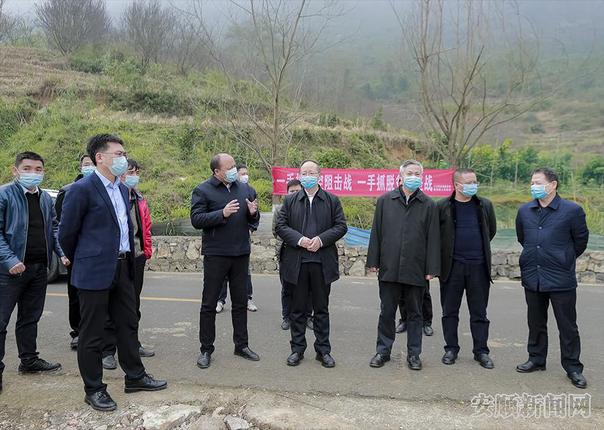 断桥镇德新坝区.png