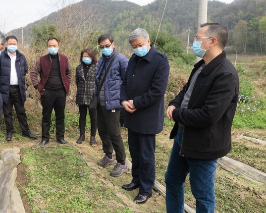 在镇宁自治县沙子乡头花蓼育苗基地查看种植情况.jpg
