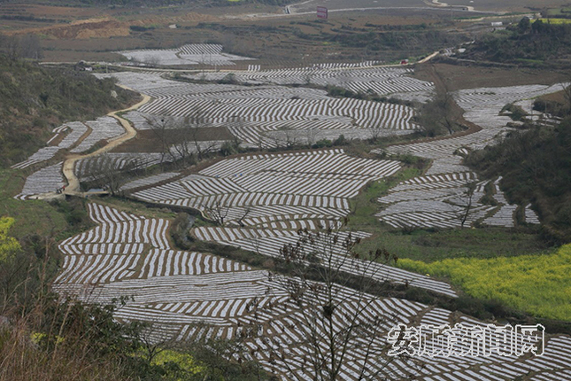 关岭上关镇宜所坝区