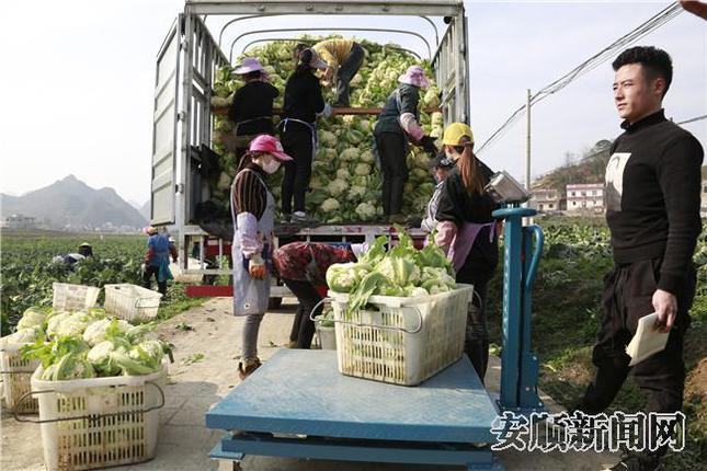 16186528-A553-45F3-9BD4-2ABF94B2D95B_IMAGE_6_LOW_0_副本.jpg