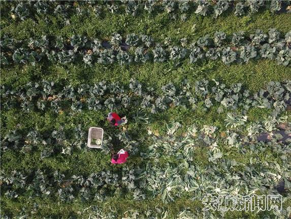 949D1A8E-26B7-4541-B42F-248B44471F07_IMAGE_2_LOW_0_副本.jpg