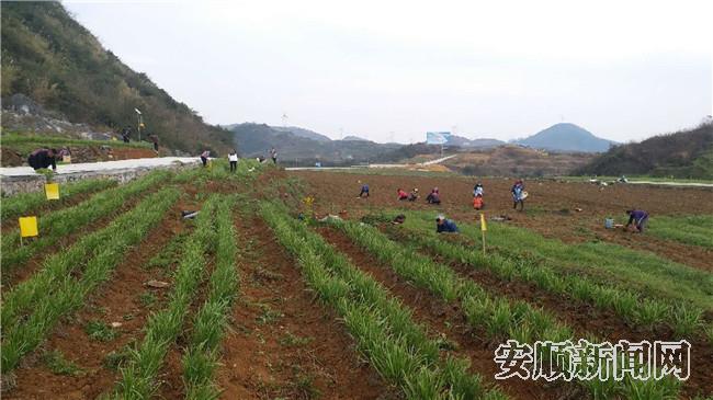 8DB49312-3153-4BBC-AE23-26E5268EF775_IMAGE_3_LOW_0_副本.jpg