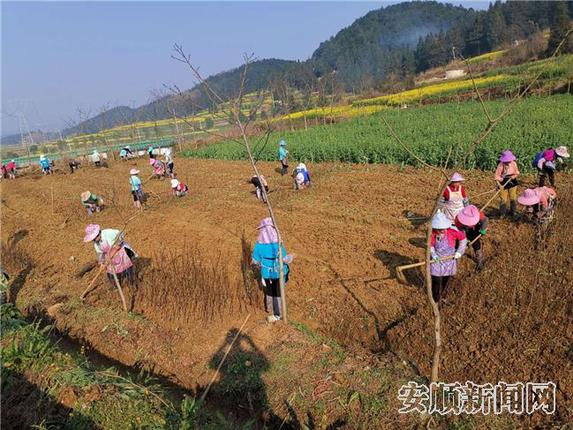 药王谷复工复产.jpg