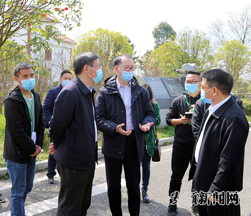 1B42986E-022E-40A8-91BA-BEE5DE737EA4_IMAGE_2_LOW_0