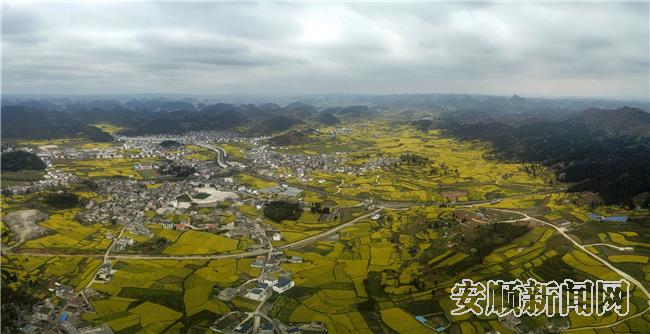 3月10日航拍的西秀区云峰一带的油菜花。 卢维 摄.jpg