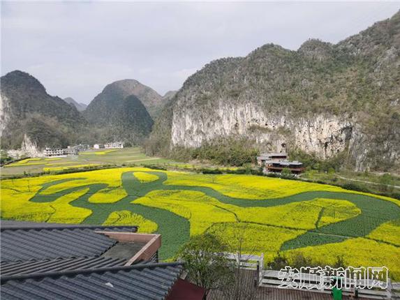 3月9日，龙宫景区花开连片，春意盎然。美丽的油菜花再度将龙宫景区装点成金色的海洋。在一片四处环山、气势磅礴的农田里，金黄的油菜花围绕蚕豆“书写”的“龙”字，金光碧色,占地约8万余平方米的草书“龙”字日渐清晰，远眺花海可见一条“金龙”活灵活现。2.jpg