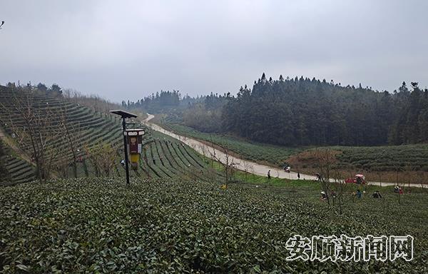 mobileText_IMAGE_14732.jpg