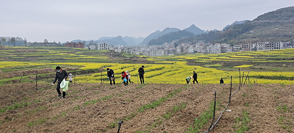 黄果树旅游区龙宫镇满嘎坝区 (4).jpg