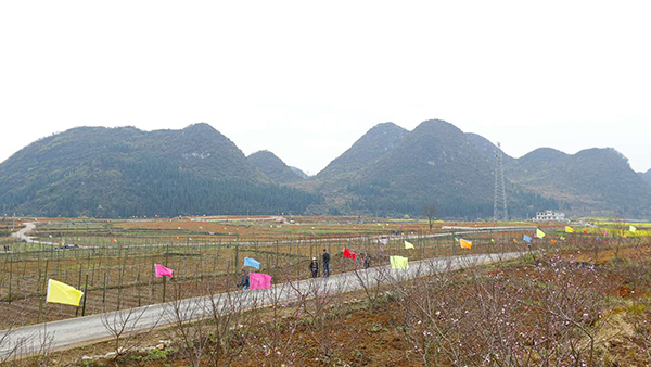 微信图片_20200312105250.jpg