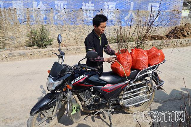 当地村民用摩托车来运花椒苗.jpg