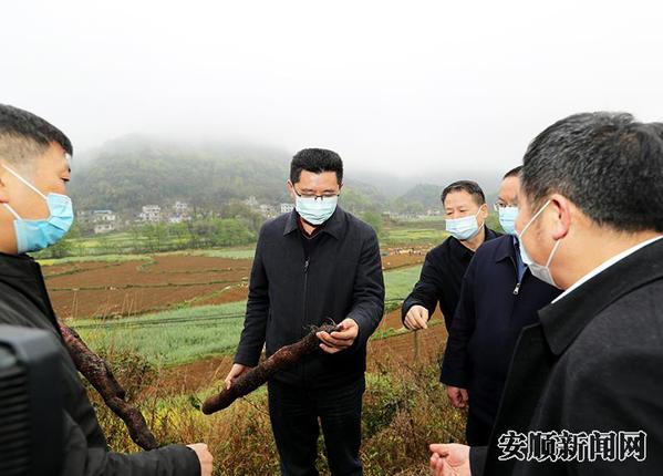 关索街道大桥坝区.jpg