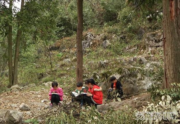 4G网络未接通前，桥窝组的孩子们只能在山顶上的小树林里上网课.jpg