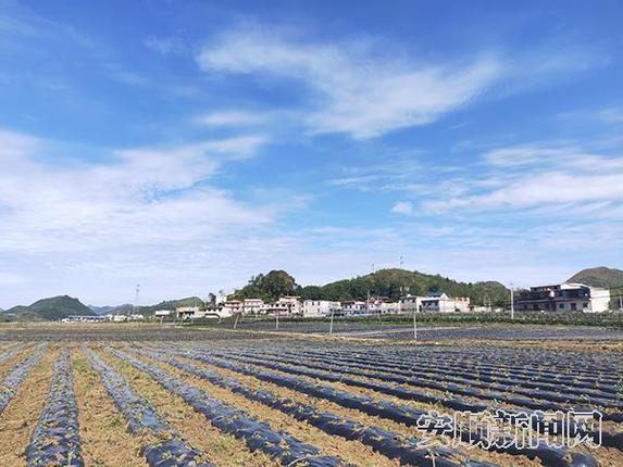 264EF879-2D27-4007-B4BD-55DCAFF8DE2C_IMAGE_6_LOW_0.jpg