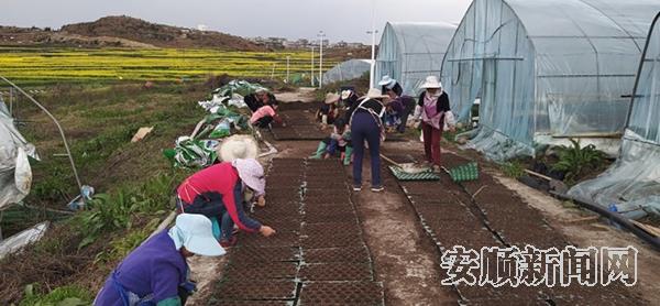 264EF879-2D27-4007-B4BD-55DCAFF8DE2C_IMAGE_11_LOW_0.jpg
