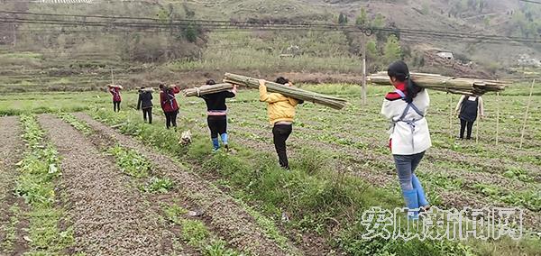 264EF879-2D27-4007-B4BD-55DCAFF8DE2C_IMAGE_7_LOW_0.jpg
