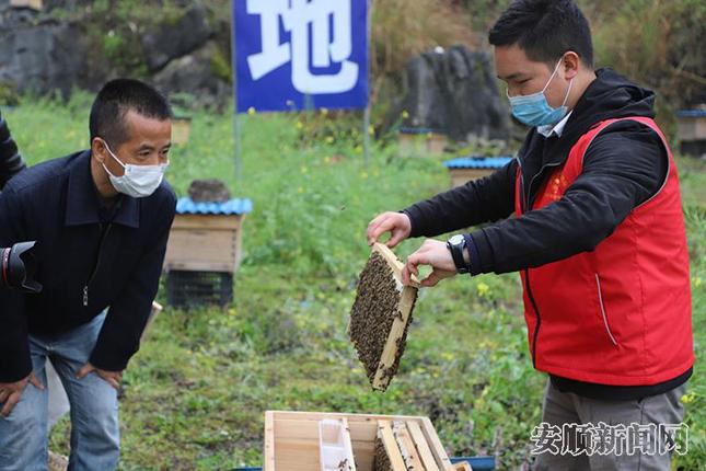 罗雪松和郝银昌揭开蜂箱查看.jpg