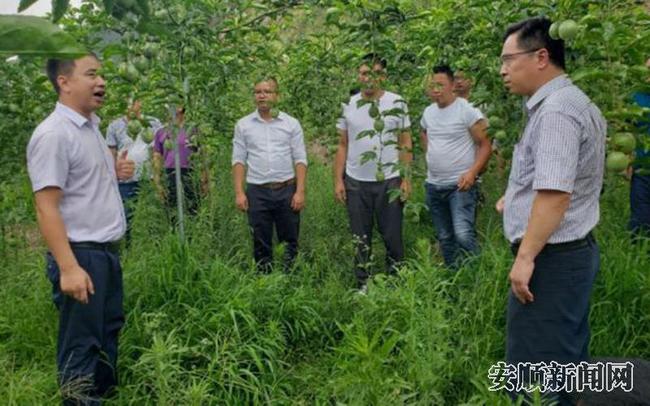 桐上坝区镇级坝长郭星在听取产业工作汇报（右1）.jpg