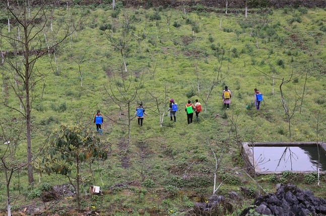 金龙村村民在地里劳作.jpg