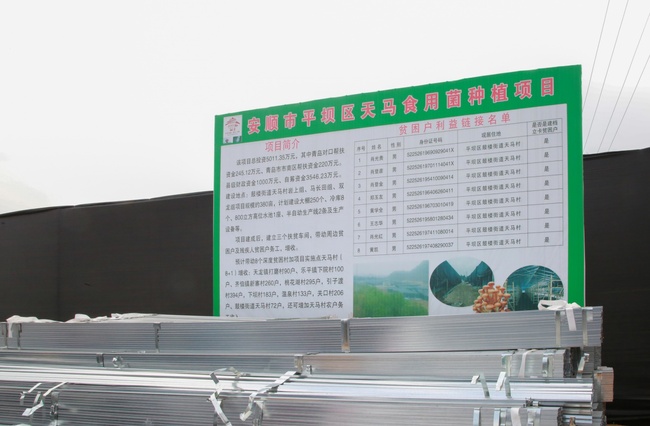 3708CE2D-03DE-4FB8-8271-607D273F484D_IMAGE_30_LOW_0.jpg