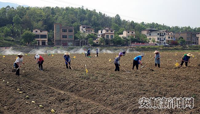 紫云自治县火花坝区 陈婷摄 (5).jpg