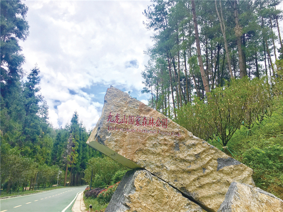 九龙山国家森林公园.jpg