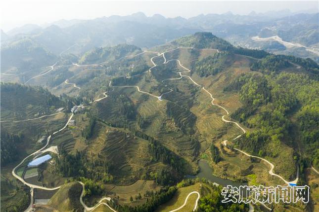18BA216F-D984-4351-9725-A031947DA50C_IMAGE_13_LOW_0.jpg