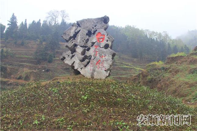 白茶小镇石雕.jpg