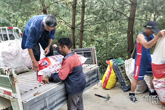 辣椒装车转运