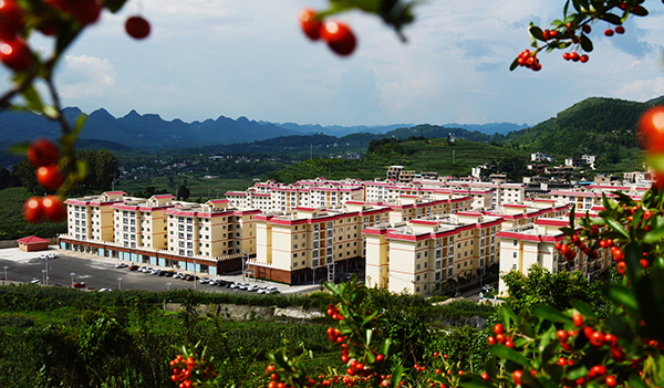 　　在安顺，部分山区群众生存环境恶劣，靠山难吃山，山上都是生态林，不能砍伐，换不成钱。山货运不出，产业起不来。山路崎岖遥远，山里的孩子上学难。更愁的是看病难，小病拖，大病扛。重重大山像一道道屏障，贫困赶不走，小康进不来。一方山水养不起一方人。搬出大山，筑梦小康路，这是许多山里人的夙愿。树挪死，人挪活，搬出深山天地宽。从2016年开始，一场波澜壮阔的易地扶贫搬迁攻坚战在安顺打响。据来自安顺市生态移民局数据统计，安顺市“十三五”期间易地扶贫搬迁规划建设84个安置点，计划搬迁82020人(其中，建档立卡贫困人口75181人)，截至2019年6月底，全市所有项目全面竣工均达到搬迁入户条件，搬迁入住82103人(其中，建档立卡贫困人口76413人)，全面完成安置点建设及搬迁入住任务。（安顺日报社大数据智慧全媒体记者 伍水清  图片由安顺市青年摄影家协会提供）