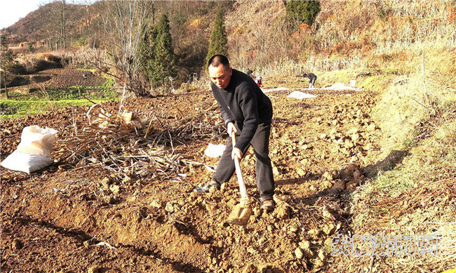 赵东升正在整地