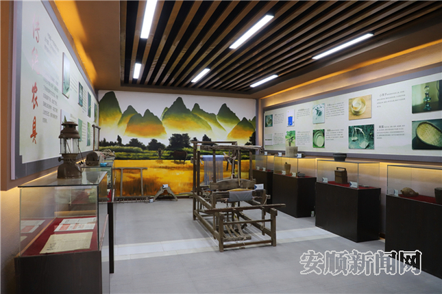 09BA26CF-A213-49F8-8AC5-535F98184B85_IMAGE_2_LOW_0