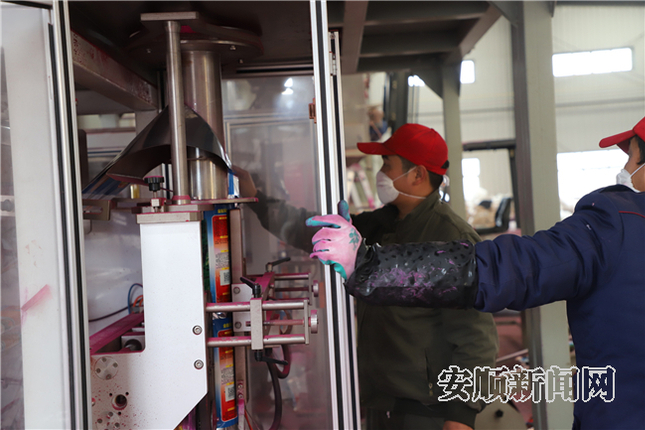安顺新金秋科技股份有限公司种子生产忙