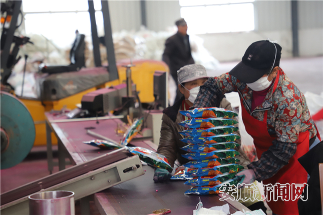 安顺新金秋科技股份有限公司内工人整理生产好的种子