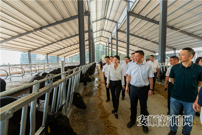 C8C97DC7-898A-41E8-9020-460BCDF3ACF2_IMAGE_2_LOW_0