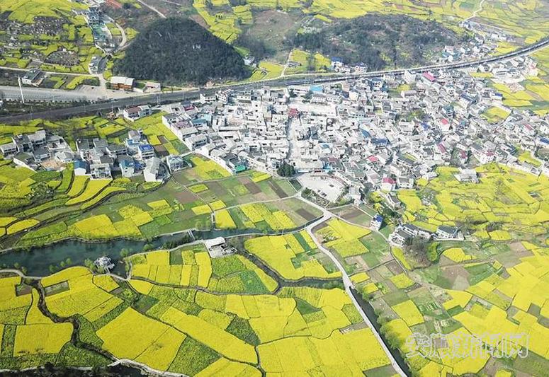 大西桥鲍屯村