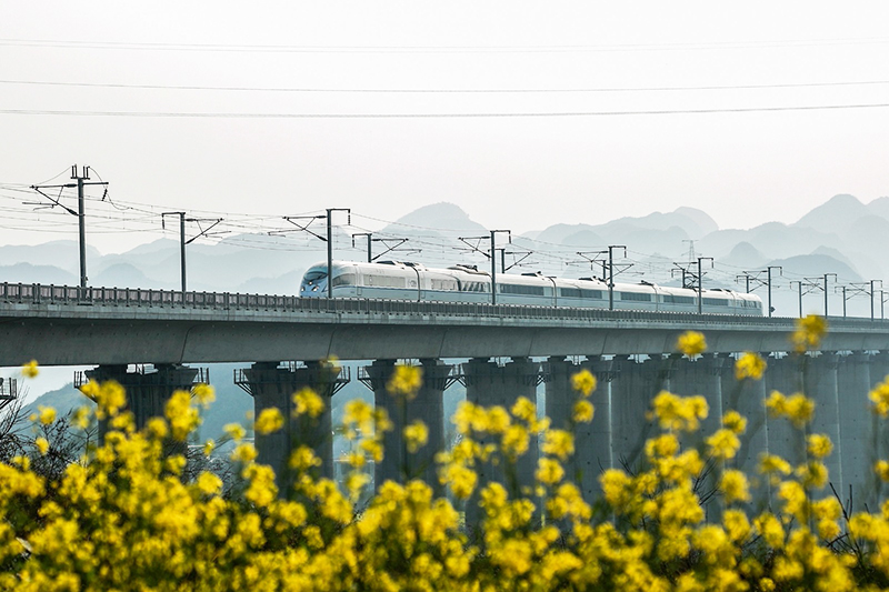 2月9日，一列动车组列车在沪昆高铁安顺境内行驶。随着气温回升，我市境内的油菜花陆续开放，高铁动车穿行其中，构成一道亮丽的风景线。(安顺日报社大数据智慧全媒体记者 卢维)