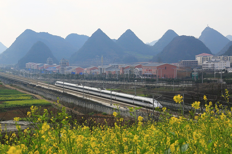 2月9日，一列动车组列车在沪昆高铁安顺境内行驶。随着气温回升，我市境内的油菜花陆续开放，高铁动车穿行其中，构成一道亮丽的风景线。(安顺日报社大数据智慧全媒体记者 卢维)