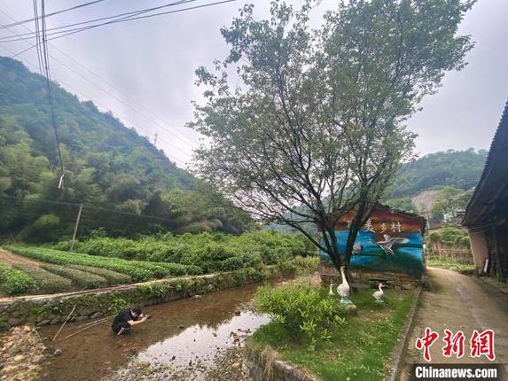 绿水青山被墙画点亮 项菁 摄 绿水青山被墙画点亮 项菁 摄