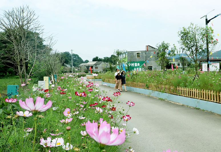 黄果树旅游区石头寨村美丽的村居环境，吸引游客前来游玩。.JPG