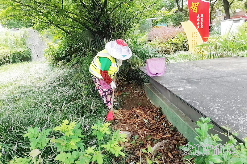 8月5日，经开区亮彩公司组织人员在南马广场进行环境卫生整治