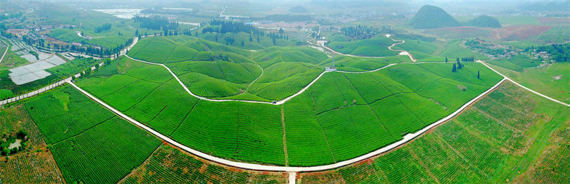 安顺市西秀区山京茶海。.jpg