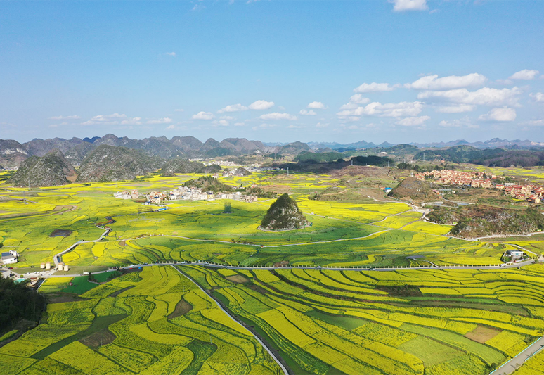 白云镇平元村.png