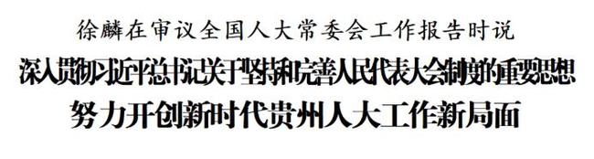 徐麟在审议全国人大常委会工作报告时说1