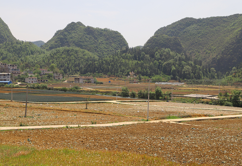 扁担山蔬菜种植基地.jpg