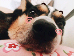 640 (2).gif