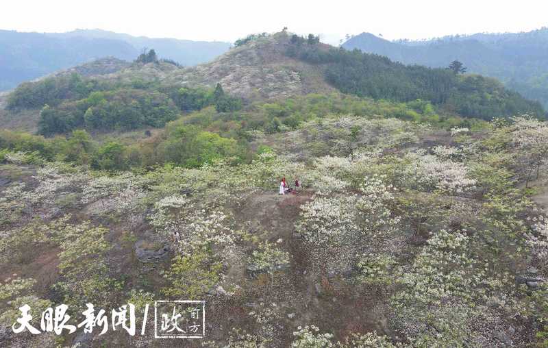 DJI_0747_副本_副本.jpeg