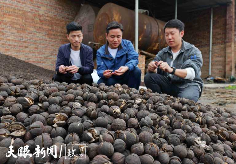 P1047642_副本_副本.jpeg